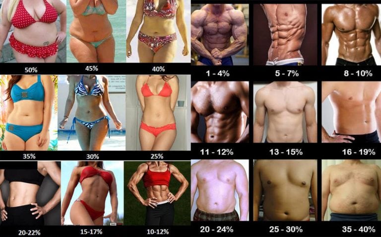 bodyfat 768x477 1 - Le Guide complet de prise de masse musculaire - mars 14, 2025 - Objectif Musculation -
