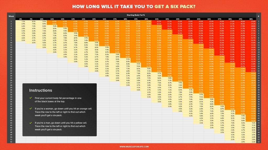 chart design mfl v2 2 - Les 7 points essentiels à savoir si tu souhaites savoir comment perdre du poids - mars 14, 2025 - Objectif Musculation -