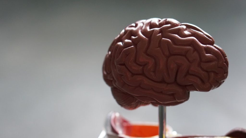 image 20 - Créatine effet et bienfaits positifs - mars 14, 2025 - Objectif Musculation -