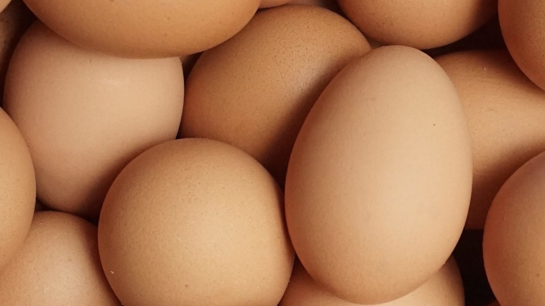 raiyan zakaria jDkrpWtSkb4 unsplash edited - Que manger avant la musculation ? - juillet 3, 2025 - Objectif Musculation - Que manger avant la musculation ?,musculation,preworkout