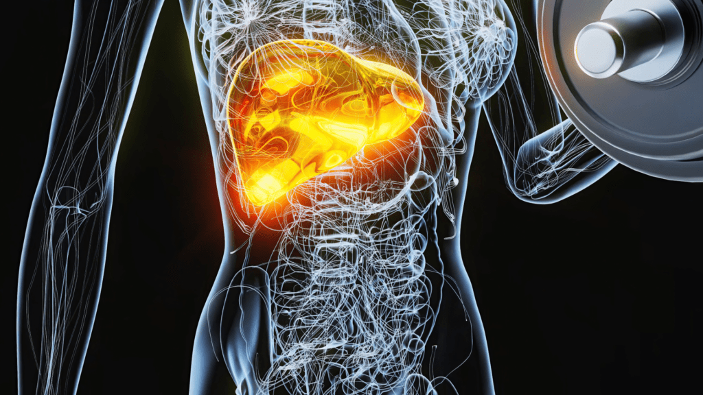 Muscu calories: Combien de calories brule-t-on lors d'une séance de musculation ? 3 Sans titre 4 2 - Muscu calories: Combien de calories brule-t-on lors d'une séance de musculation ? - mars 12, 2025 - Objectif Musculation - muscu calories,calories musculation,calories,musculation