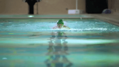 Musculation et natation, un cocktail gagnant ! 3 giphy 2 - Musculation et natation, un cocktail gagnant ! - juillet 1, 2025 - Objectif Musculation - Natation,Muscu natation,muscu,Musculation