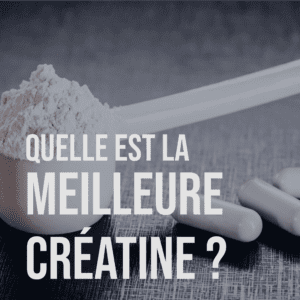 Obj muscu article SERP 1 - A propos - juillet 2, 2025 - Objectif Musculation -