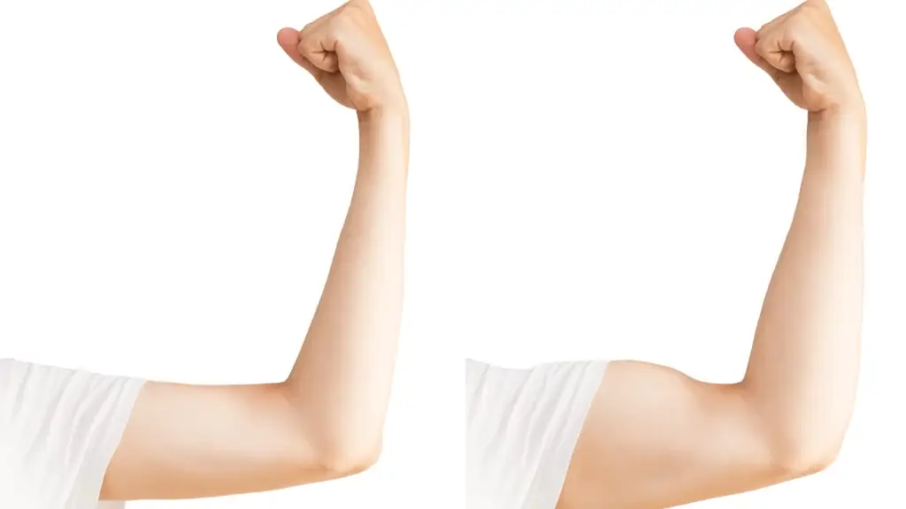 Sans titre 21 - Gain de muscle rapide: ton programme muscu prise de masse efficace - mars 28, 2024 - Objectif Musculation - Programme,muscu,prise de masse,programme muscu prise de masse